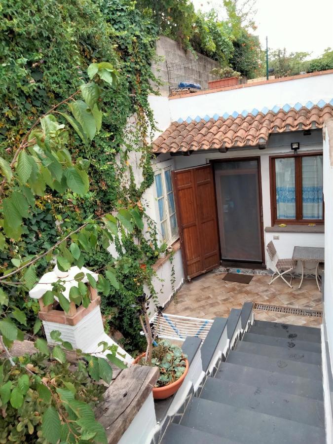 Casa Rustica Leilighet Dorgali Eksteriør bilde