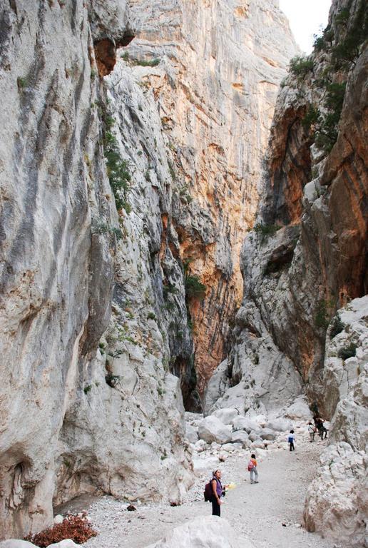Casa Rustica Leilighet Dorgali Rom bilde